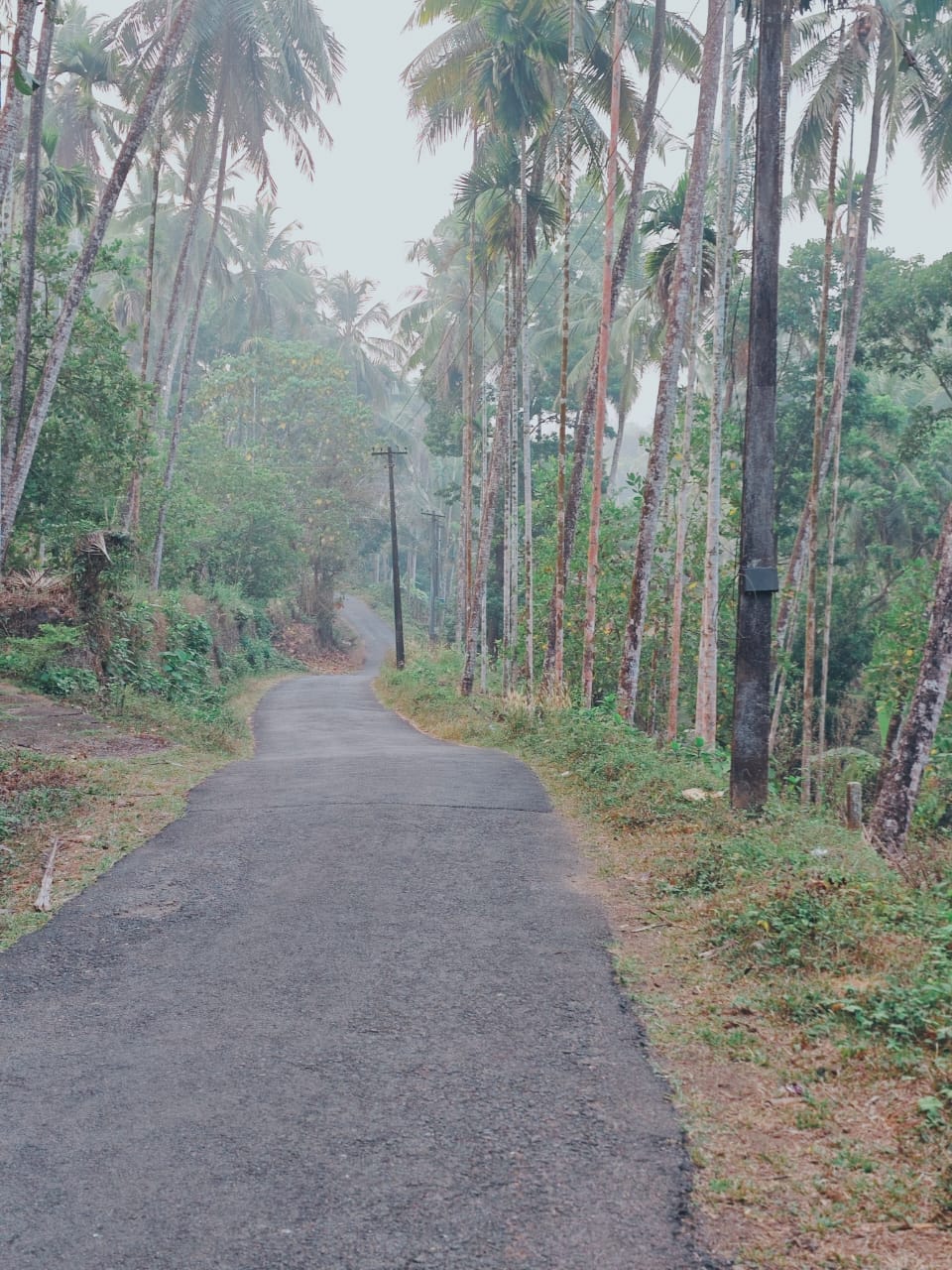 road